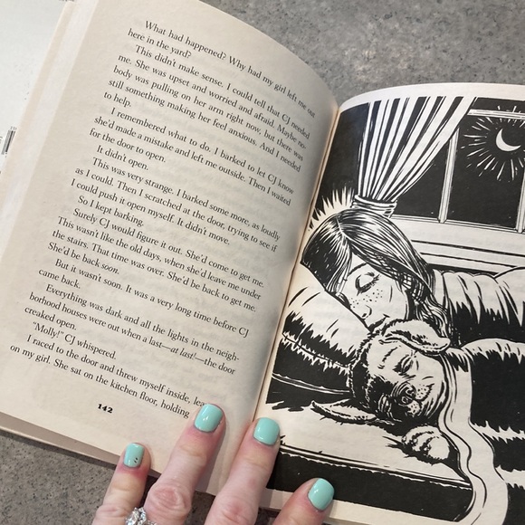 Baileys story, Molly story, racing in the rain set of 3 books - Picture 9 of 10